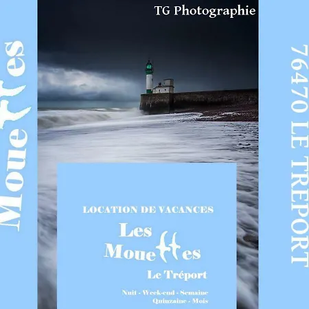 Les Mouettes Le Treport